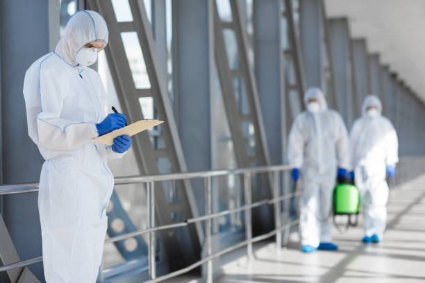 Mold Odor Removal Services in Point, TX
